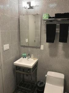 a bathroom with a sink and a toilet and a mirror at Chelsea Pines Inn in New York