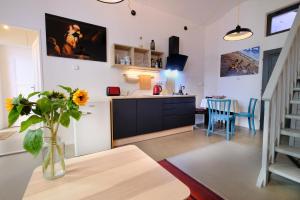Kuchyň nebo kuchyňský kout v ubytování Pawlansky Apartments