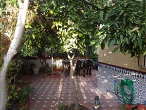 una mesa y sillas bajo un árbol en un jardín en Villa Patricia, en Málaga
