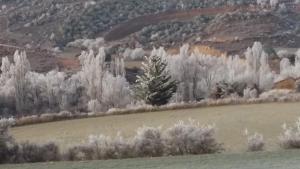 a painting of a field with snow covered trees at Hospedería Prepirineo in Undués-Pintano