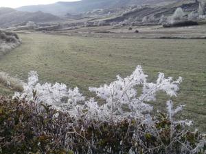 a field with white flowers in the foreground at Hospedería Prepirineo in Undués-Pintano
