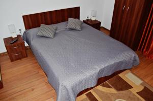 Afbeelding uit fotogalerij van Pensiunea Ana in Odoreu