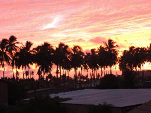 una puesta de sol con palmeras en primer plano en Cantinho da Melão, en Maragogi