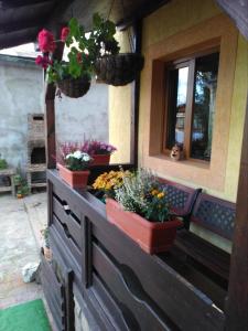 un porche con macetas en una casa en vila Dariana, en Vatra Dornei