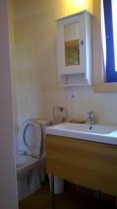 a bathroom with a toilet and a sink and a mirror at Entre Paimpol et Bréhat ! in Ploubazlanec +24 photos