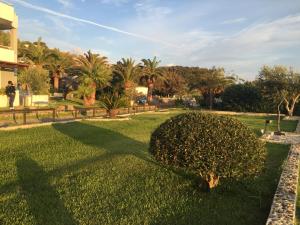 Ein Garten an der Unterkunft Hotel Villa Rita