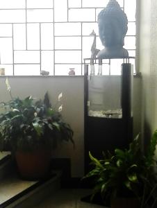 una planta sentada junto a una ventana con una estatua en Heidi's ART, en Arnsberg