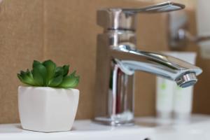 lavabo con grifo y planta en Vila Mărioara, en Sibiu