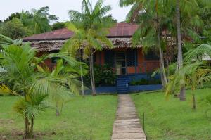 a house with palm trees in front of it at Eware Refugio Amazonico in Puerto Nariño +32 photos