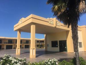 a building with a palm tree in front of it at Deco City Motor Lodge in Napier