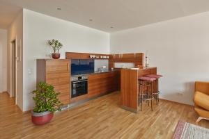 Η κουζίνα ή μικρή κουζίνα στο Apartment Markt Ardagger