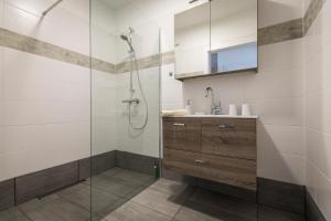 een badkamer met een douche en een wastafel bij Naturgut in Apetlon