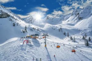 Haus Alpina Ski In & Ski Out v zimě