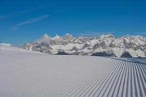 Haus Alpina Ski In & Ski Out v zimě