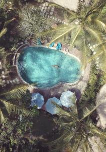 an overhead view of a swimming pool with palm trees at Mana Eco Retreat in Kuta Lombok