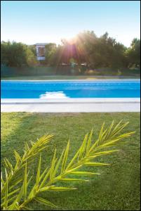 Bazén v ubytování Casa di Mare nebo v jeho okolí