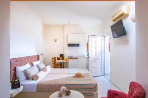 Μια τηλεόραση ή/και κέντρο ψυχαγωγίας στο Irida Aparthotel Malia by Estia