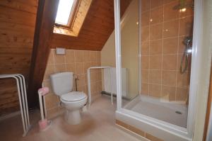 a bathroom with a toilet and a shower at Gite Rammelstein in Ribeauvillé