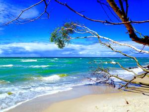 a view of the ocean from a beach at Haus auf der alten Düne 2 in Prerow +6 photos