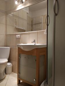 ヴロツワフにあるlivingROOM_Wroc_Mosiężnaのバスルーム(洗面台、トイレ、鏡付)