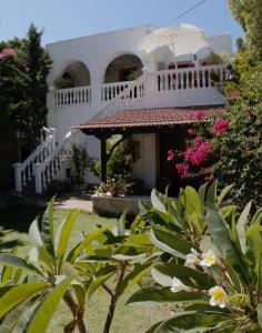 Jardí fora de Studios Irene