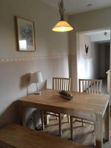 a wooden dining room table with chairs and a lamp at Ferienhaus Janik in Friedrichskoog