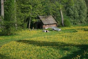 a group of people sitting in the grass in front of a cabin at Luodžių dvaras in Salakas