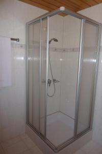 ザンクト・ガレンキルヒにあるHaus Barbischのバスルーム(ガラスドア付きのシャワー付)