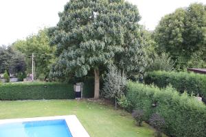 Ein Garten an der Unterkunft Damla Pansiyon
