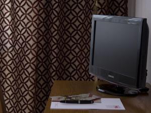 TV a/nebo společenská místnost v ubytování Hotel Alina