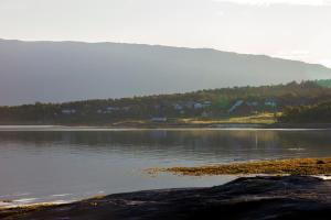 Fotografie z fotogalerie ubytování Vikran Vacation: Sea fishing and Northern Lights v destinaci Vikran