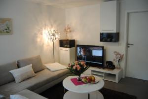 TV a/nebo společenská místnost v ubytování Fewo Near Rheinfall