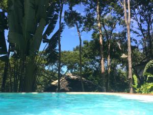 a swimming pool in front of a resort with trees at Trancoso Jungle Lodge in Trancoso