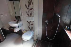 a bathroom with a shower and a toilet and a sink at Hotel Šator in Bitola