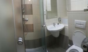 シビウにあるApartament Romanitaのバスルーム(シャワー、洗面台、トイレ付)