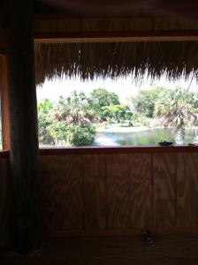 ein Fenster in einem Zimmer mit Seeblick in der Unterkunft Everglades Chickee Cottage & Bungalow - Ochopee in Ochopee