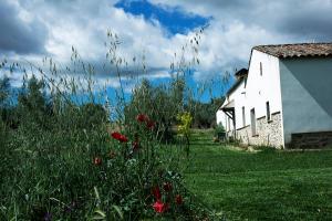 Gallery image of Casa Rural Ecológica Huerta del Pirata in Fuente de Cantos