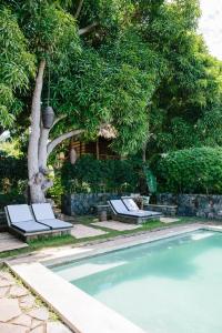 a swimming pool with two lounge chairs next to a tree at Isleta El Espino in Isletas de Granada