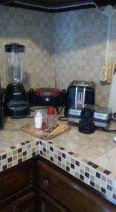 a kitchen counter with a blender and a toaster at Robby's Place in Harbour View