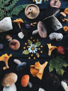 um monte de diferentes tipos de cogumelos em uma mesa em Annes em Pāce