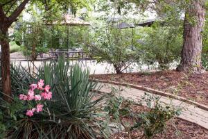 un giardino con fiori rosa e una recinzione di Annabell Gardens a Lincoln