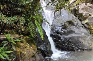 a waterfall in the middle of a forest at The Jungle Stays in Millaa Millaa
