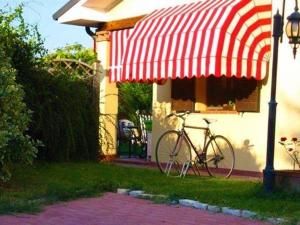 Jízda na kole v ubytování B&B Dora e Flavio Country Rooms nebo okolí