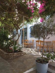 a patio with tables and chairs and trees at Hotel Minoa in Katapola