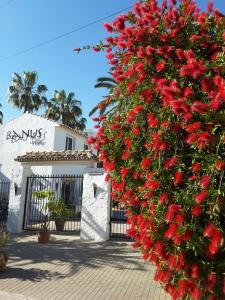 Zdjęcie z galerii obiektu Banus Lodge w Marbelli