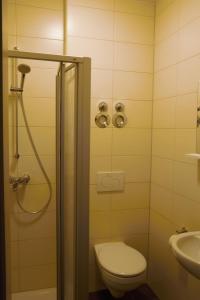 ein Badezimmer mit Dusche, Toilette und Waschbecken in der Unterkunft Pension Sonntag in Ingolstadt + 11 Fotos
