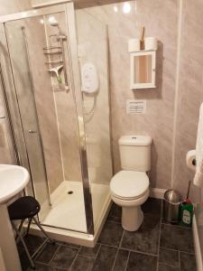 a bathroom with a shower and a toilet and a sink at Apartment 3, Pheonix Flats. in Portree