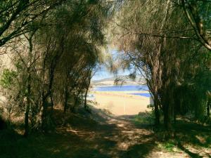 a path through the trees with a beach in the background at Manfield Seaside Bruny Island in Alonnah
