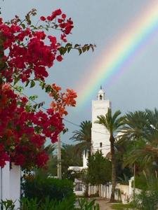 Hotel Djerba Orient外面的花园
