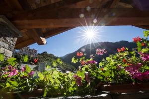 Zahrada ubytování b&b Al Castel